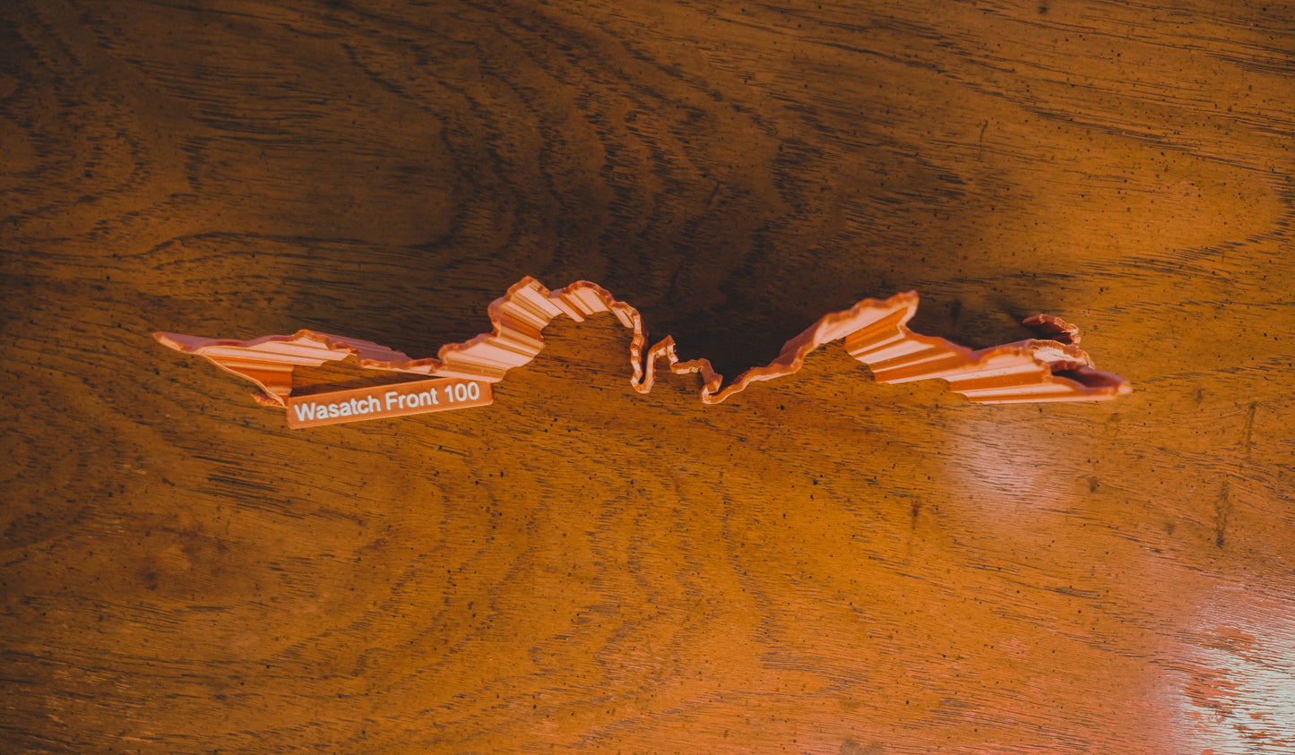 Wasatch Front 100 Mile Endurance Run Sculpture - Trail Style